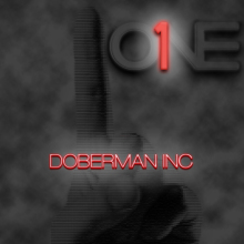 DOBERMAN INC